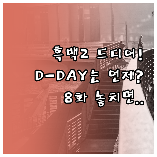 2025년 12월 16일 흑백요리사 ..