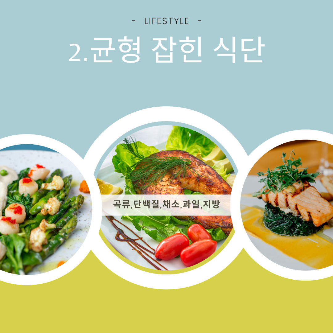 균형 잡힌 식단