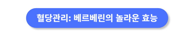 버튼