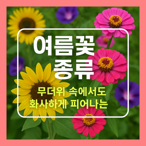 여름꽃 종류 알아보기