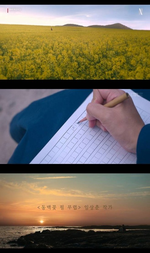 폭싹 속았수다 뜻, 등장인물, 공개 시간, 몇부작, 줄거리, 시청방법