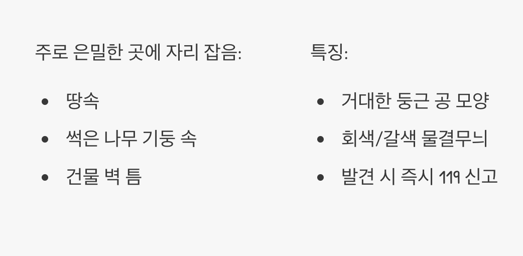 최강의 포식자&amp;#44; 장수말벌의 둥근 요새