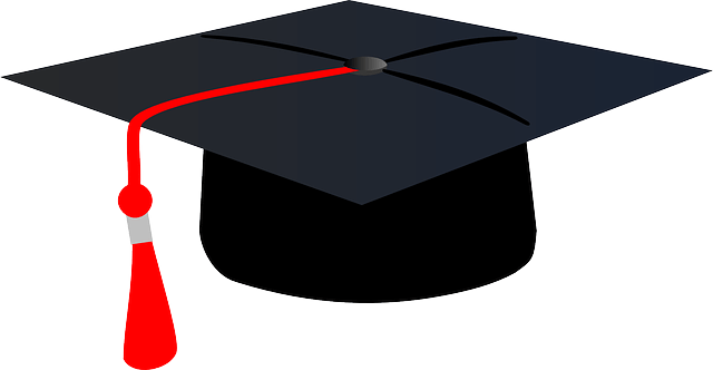 시티즌 코난 앱 피싱아이즈 보이스피싱