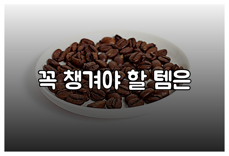 꼭 챙겨야 할 템은