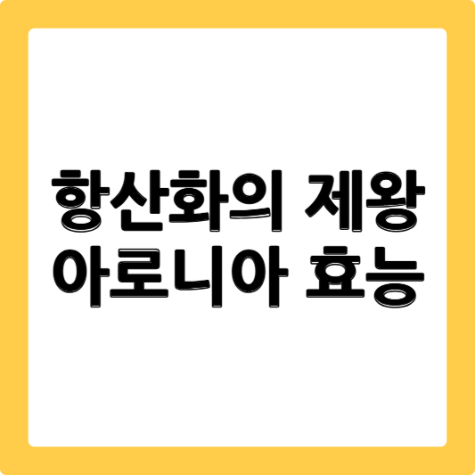 아로니아 효능