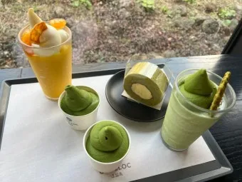 제주 오설록 티뮤지엄 관람 팁과 근처 카페 안내_11