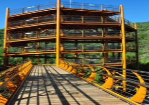 당일치기/가을/힐링/여행/대전/장태산자연휴양림/메타세쿼이아/스카이워크