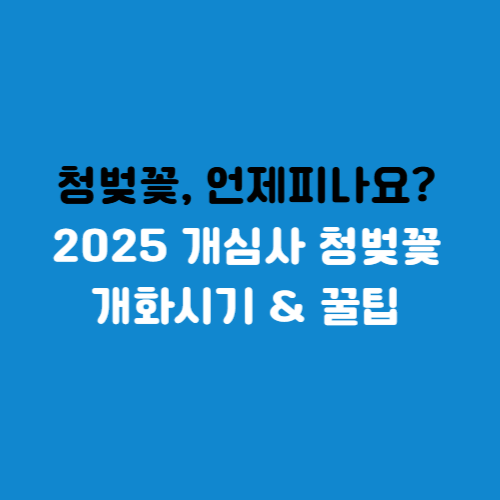 개심사 청벚꽃 개화시기