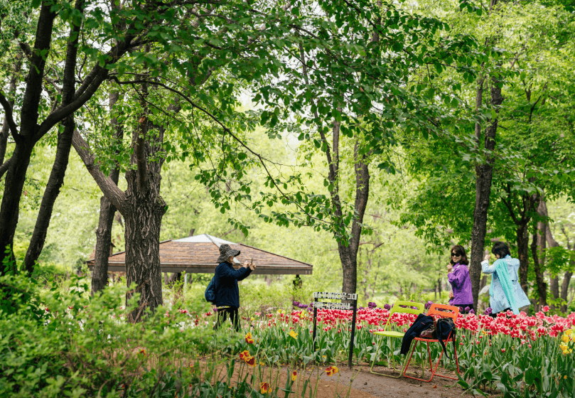 6월에 가기 좋은 한국의 여행지 10곳 추천