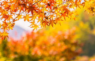 2023λ
λ¨νμκΈ° μμΈ‘μ§λ