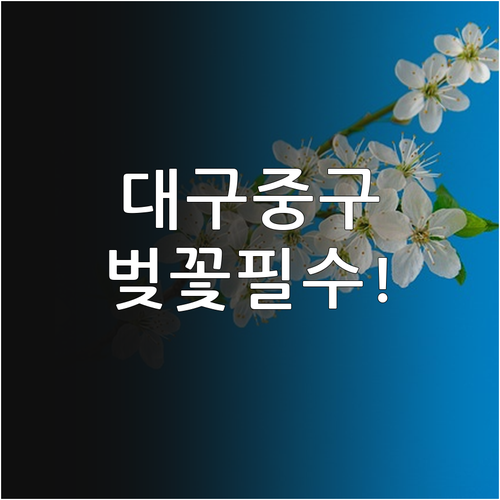 대구 중구 벚꽃 명소 추천 및 202..