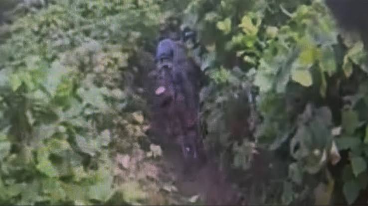 DMZ 지뢰 폭발 원인 북한 가능성