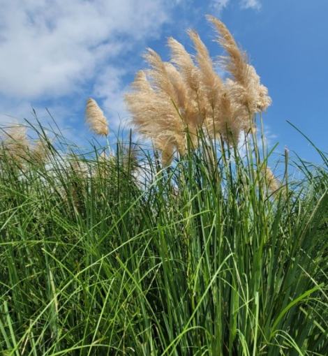 태안 청산수목원 여행지