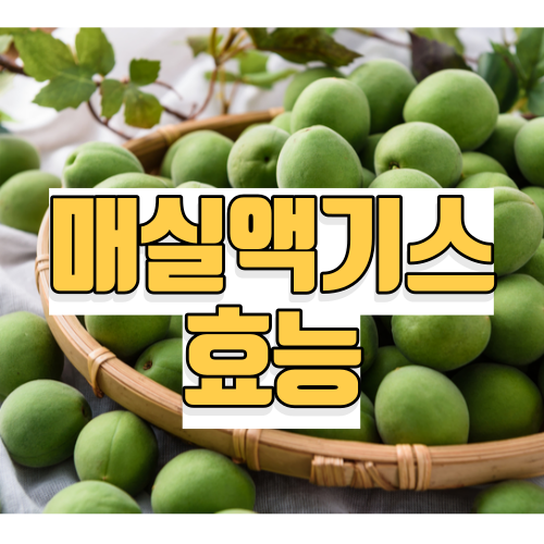매실액기스 효능