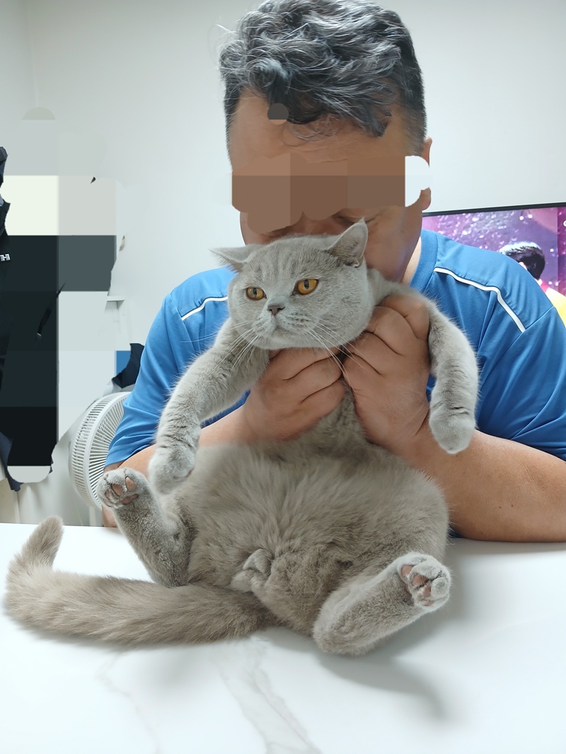 남편의 사랑을 듬뿍 받는 우리 집 막내아들 누니