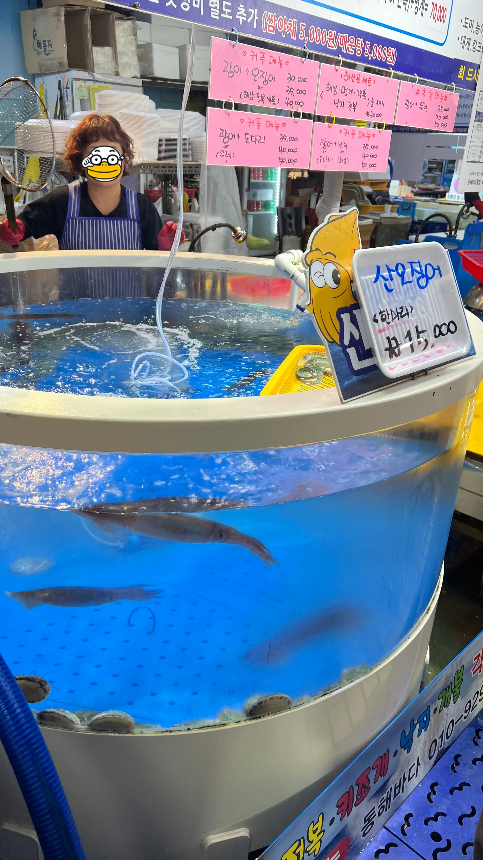강릉 중앙시장 오징어회