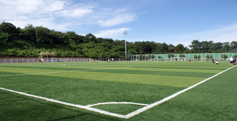 잔디밭 운동장