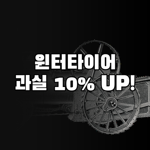 겨울철 안전 운전 의무 윈터타이어 보..