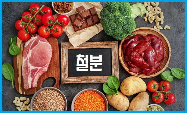철분 풍부한 음식
