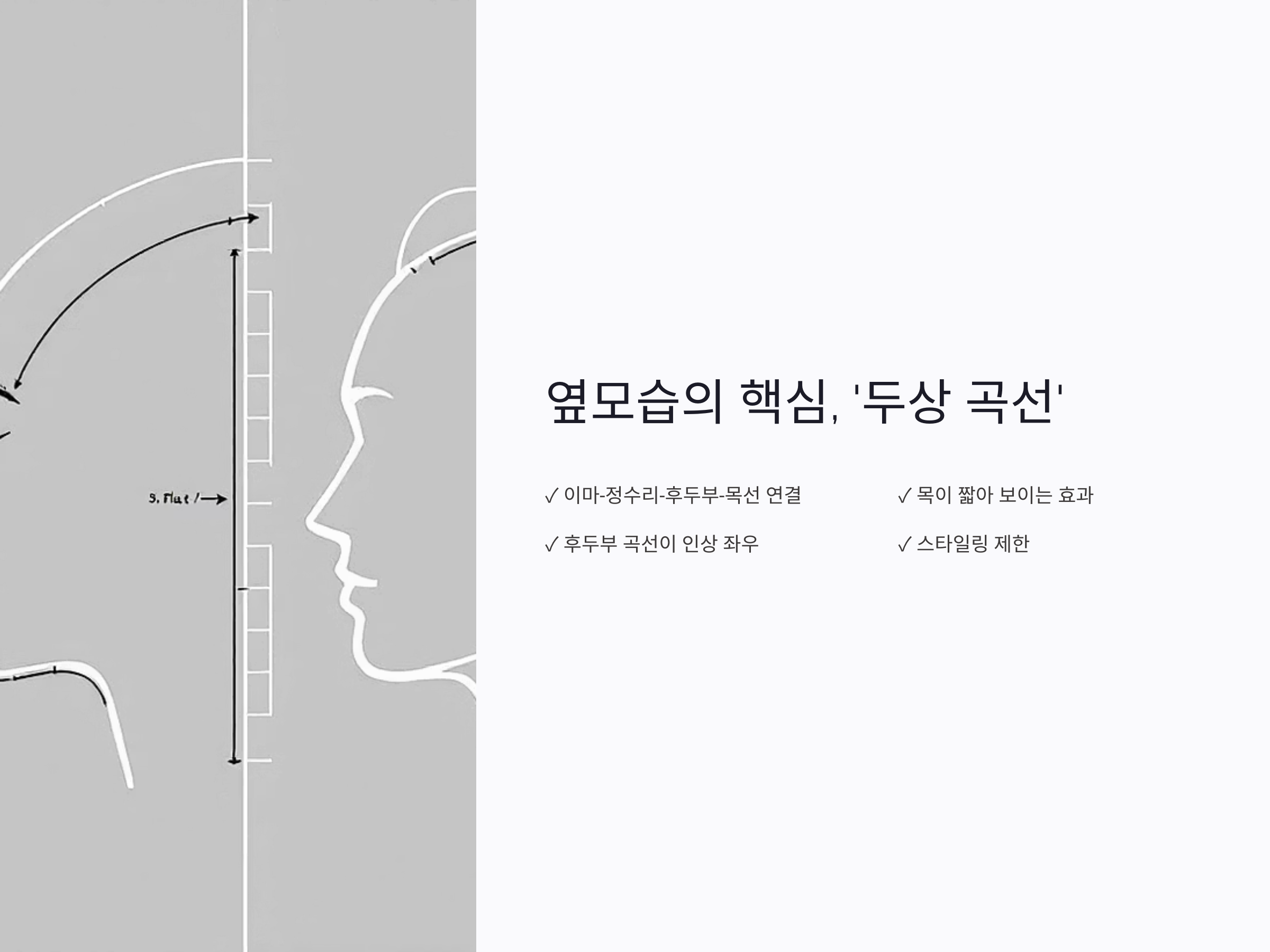 옆모습을 결정짓는 건 ‘두상 곡선’입니다