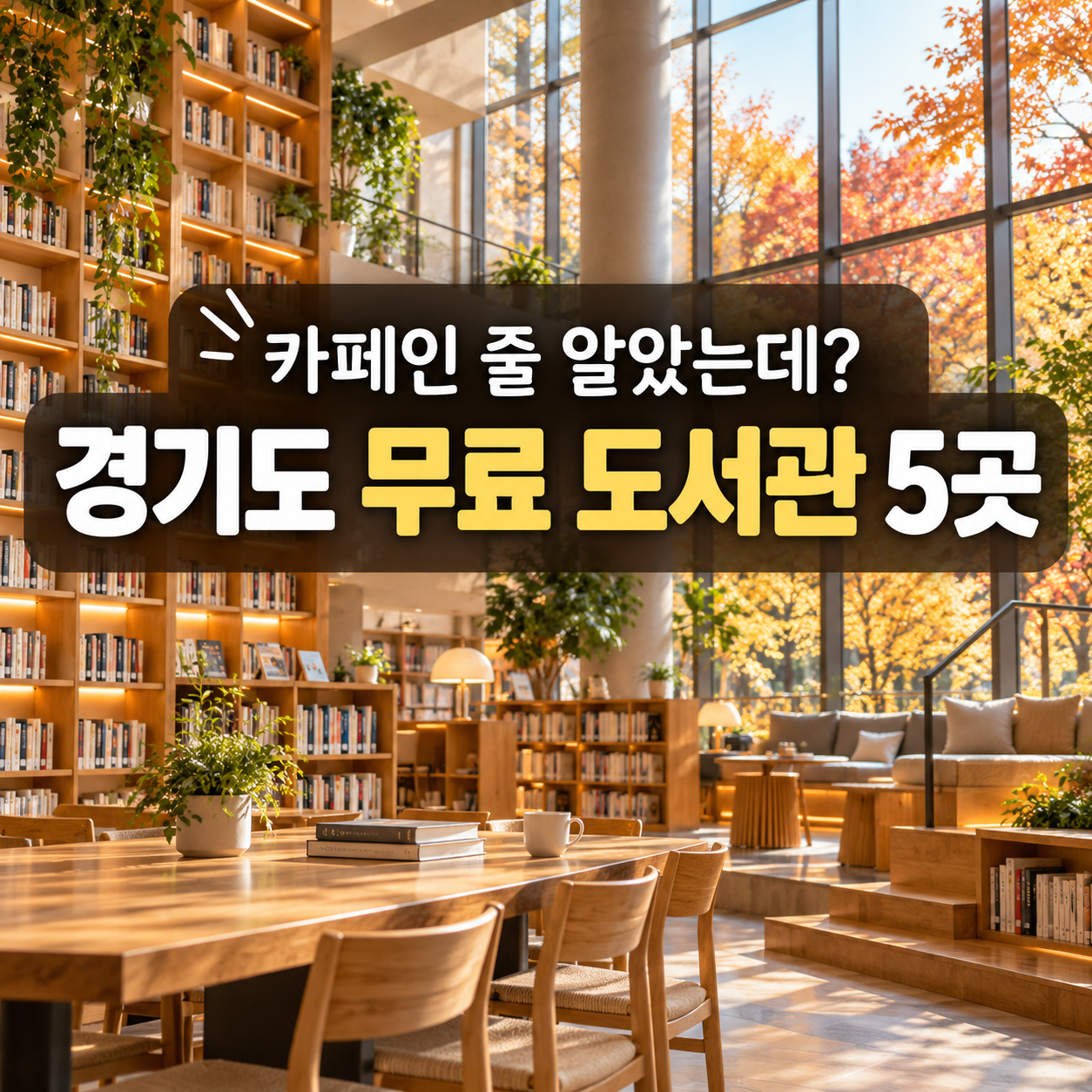2026 카페인 줄 알았는데 무료? 경기도 분위기 좋은 도서관 BEST 5곳