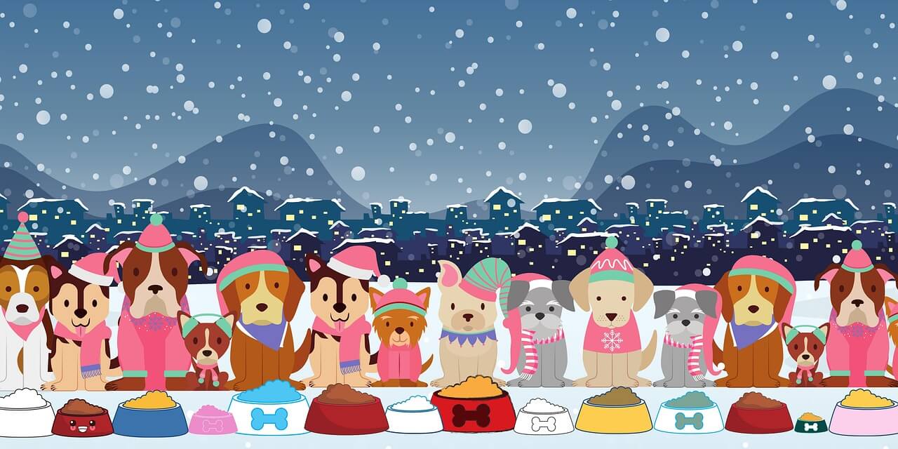 2026 화천 산천어 축제 완벽 가이드