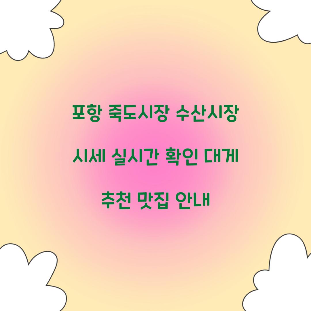 포항 죽도시장 수산시장 시세 실시간 확인