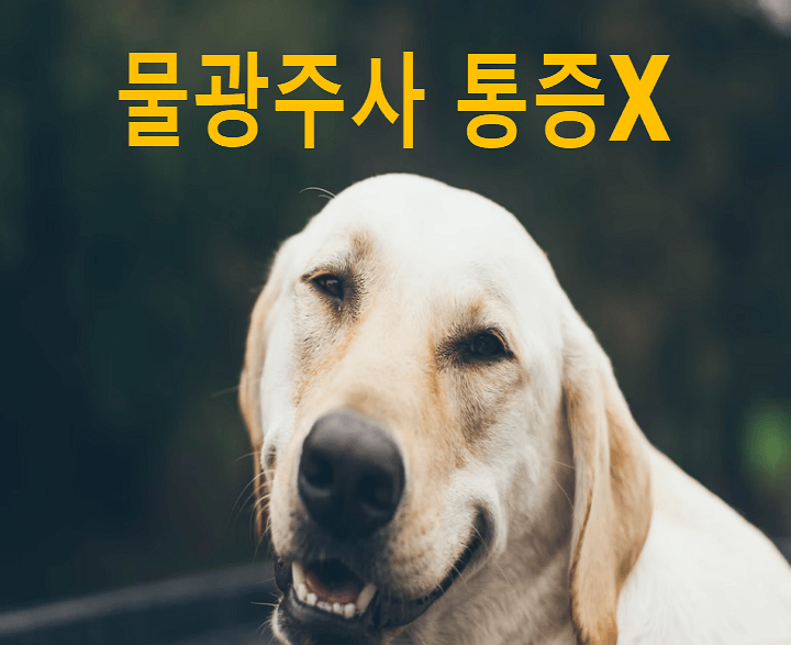약한 통증