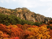 단풍여행 1박2일 버스 단풍구경