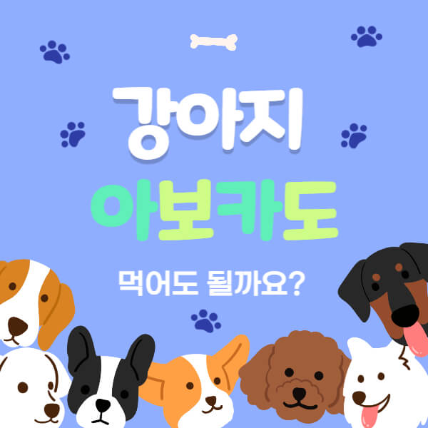 강아지_아보카도_썸네일