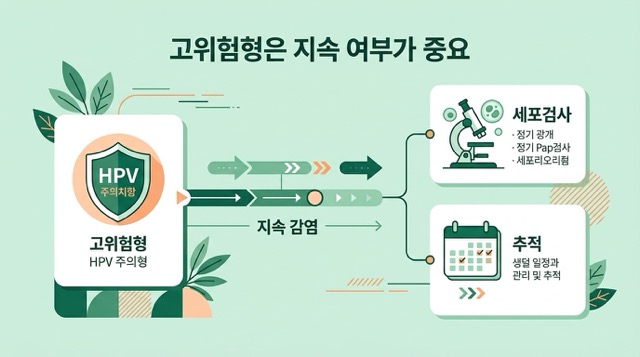 고위험 HPV 지속 감염 개념