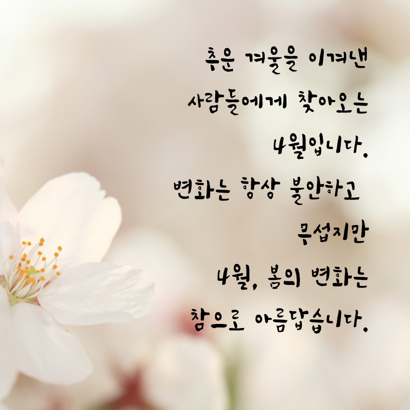 4월 인사말 문구 이미지 모음집
