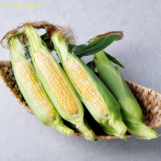 옥수수 효능