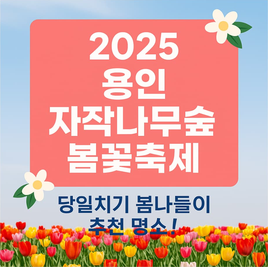 용인 자작나무숲 봄꽃축제 2025 🌸 당일치기 봄나들이 추천 명소!