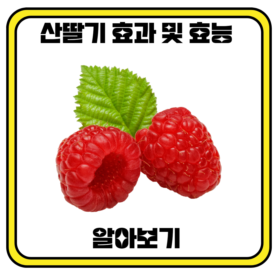 산딸기 효과 및 효능 알아보기!