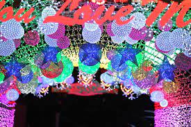 안산 별빛마을 애니멀 하트빌리지 빛축제