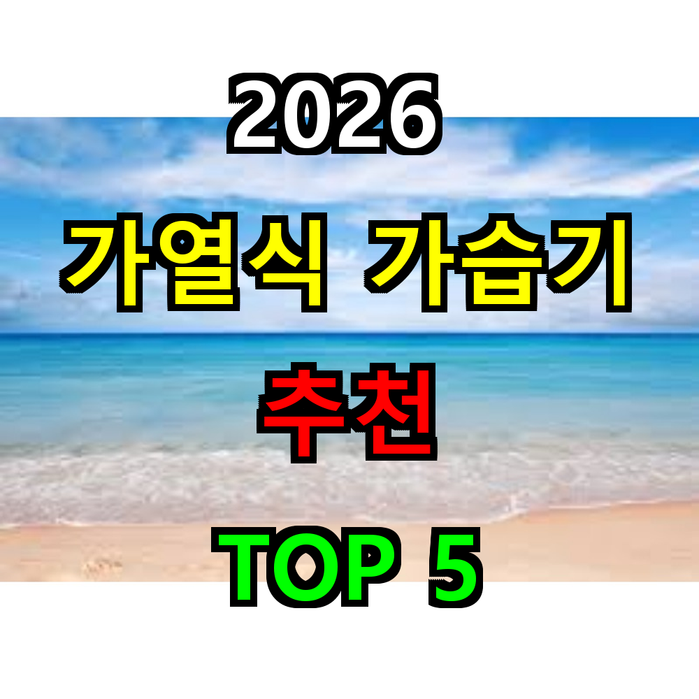 2026 가열식 가습기 추천 TOP 5