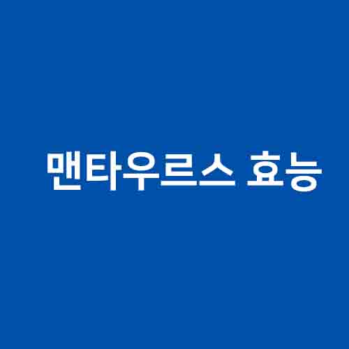 맨타우르스 효능 &#124; 부작용 &#124; 성분 &#124; 내돈내산 남성 건강의 새로운 지평을 여는 통찰