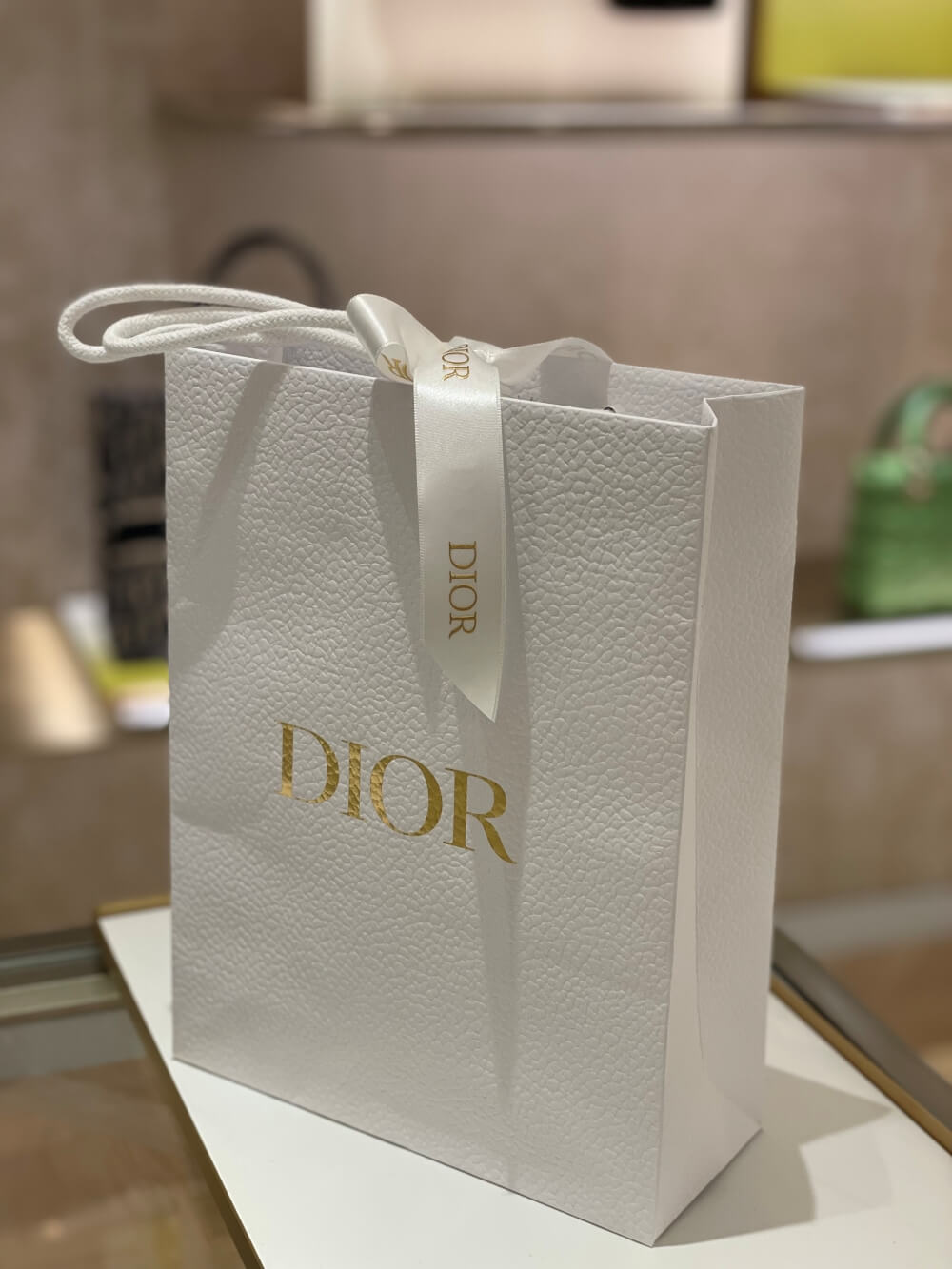 디올-오블리크-새들-버티컬-파우치-포장된-모습