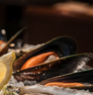 망간 많은 홍합