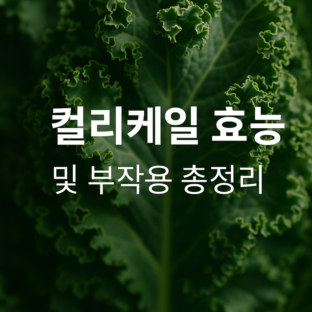 컬리케일 효능 및 부작용 총정리 썸네일