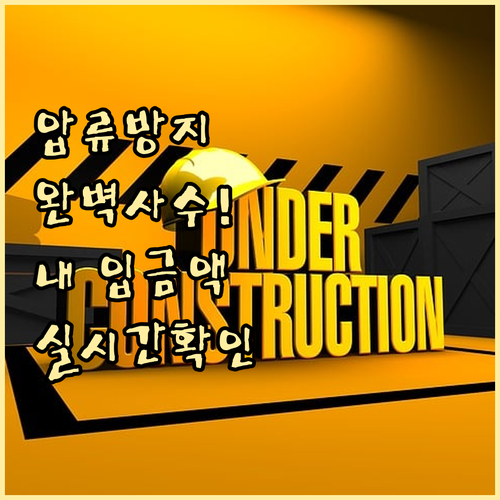 압류방지계좌 이용법과 누적 입금 내역..