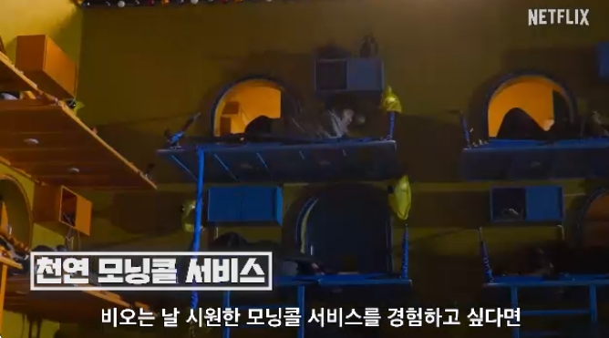 대환장 기안장 공개시간 [방송시간 몇부작 숙소위치]