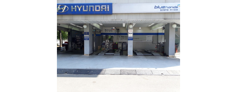 고양 일산동구 블루핸즈