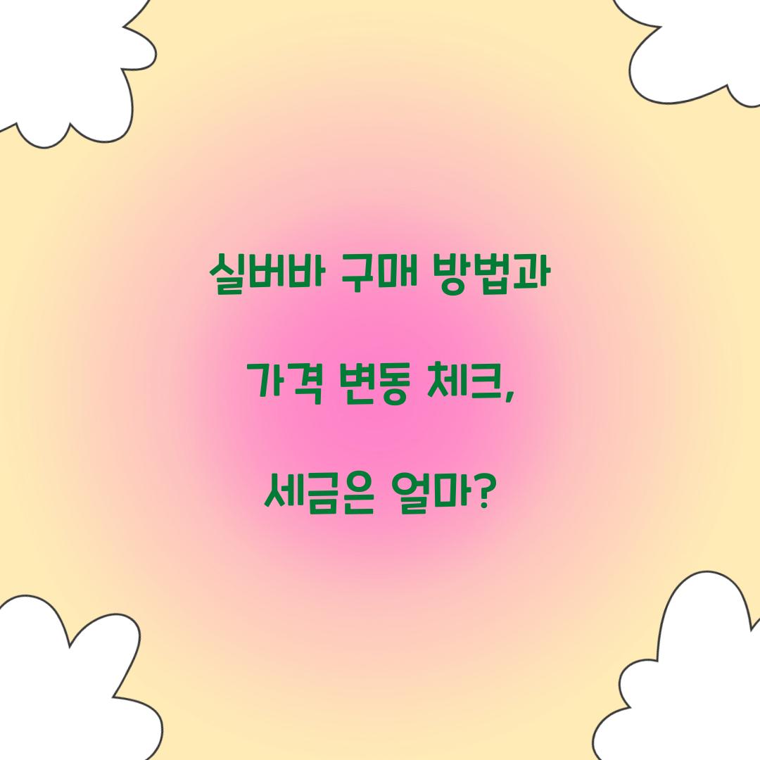 실버바 구매