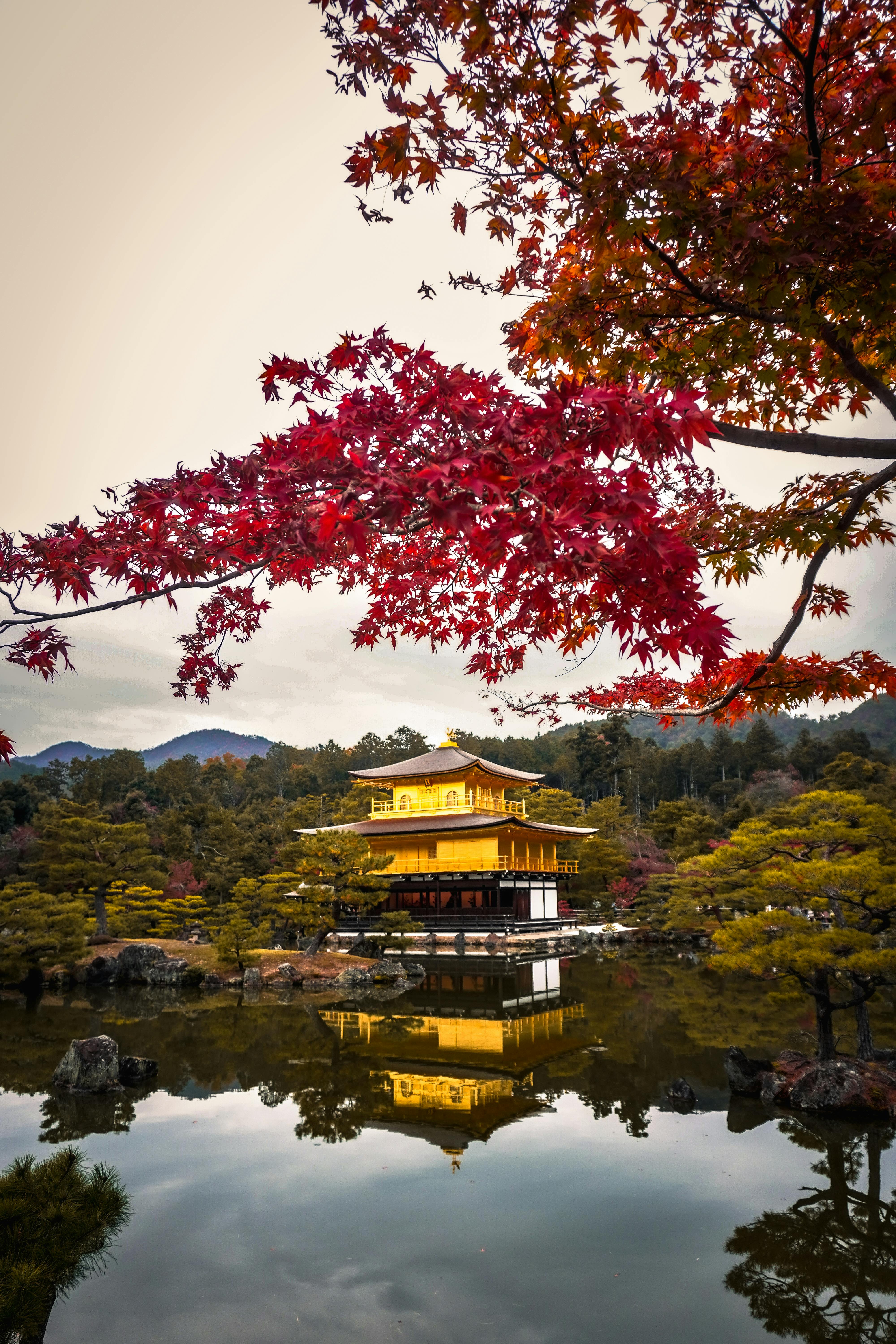 중년부부 일본여행 교토