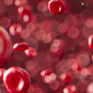 알부민의 효능 - 혈액 속 수분 유지