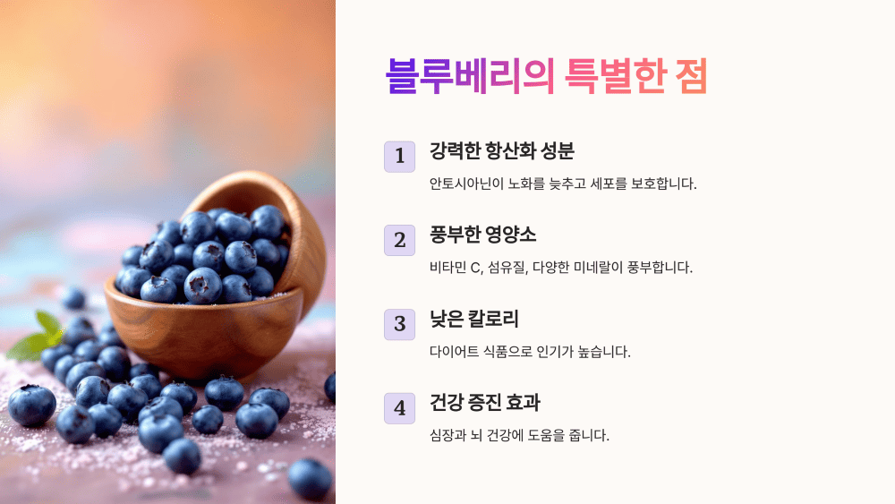 블루베리가 특별한 이유는?