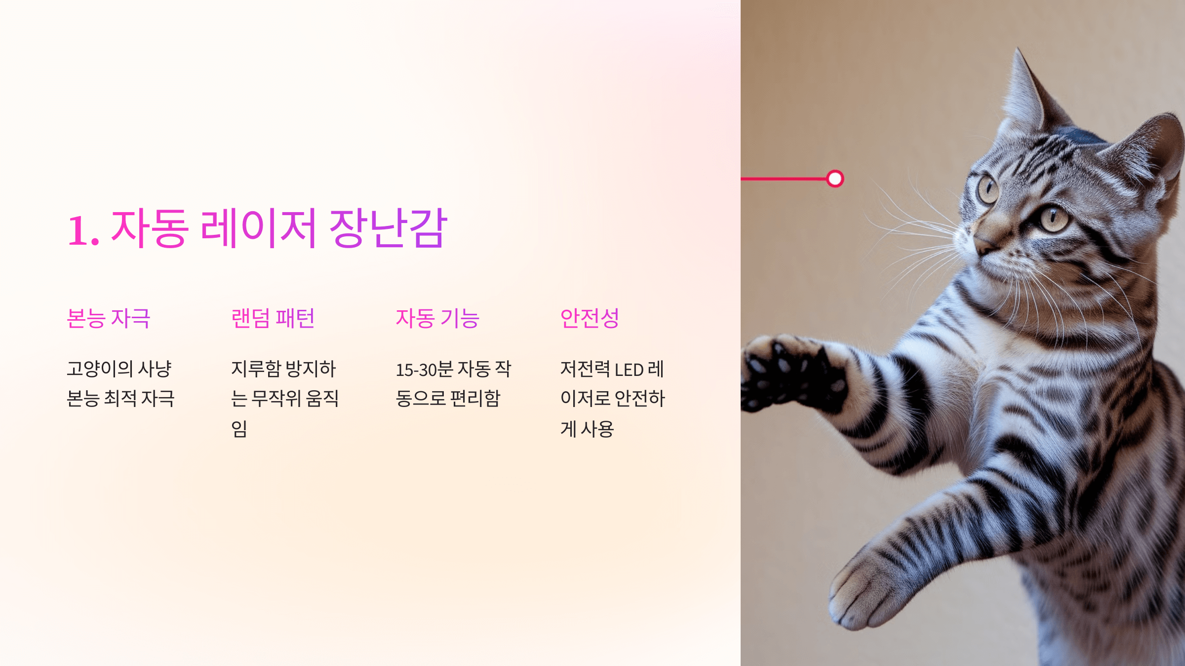 혼자 놀기 좋은 고양이 장난감 추천 