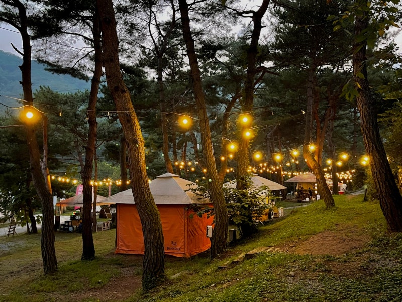 춘천 황금박쥐캠핑장 소개